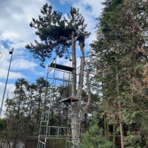 058c3faf-833e-48bb-871f-f756c04ddfc0