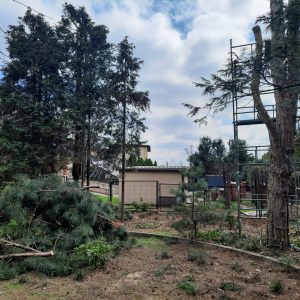 0d37c1b5-091b-4622-9d04-e83cfb526436