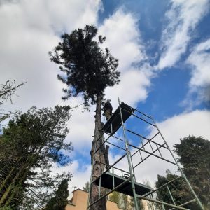 2d6d8cb4-0c12-460f-91d7-5a76c969fcb9