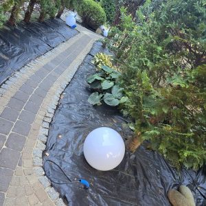 70AB27B3-2A4A-4181-9A4D-FBF968D54918