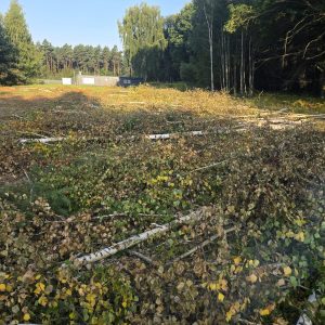 73BA30EE-7F95-4E6A-9081-9637BC17C864