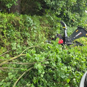 dc6fdb4a-3633-41b4-b076-7f6c4c4758cc