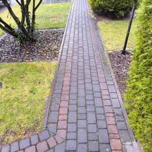 ec821705-9ccb-4d0a-a6a6-2b9335f59602